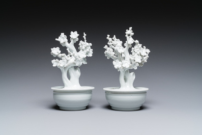 Een paar Chinese blanc de Chine modellen van bomen in jardini&egrave;res, Kangxi