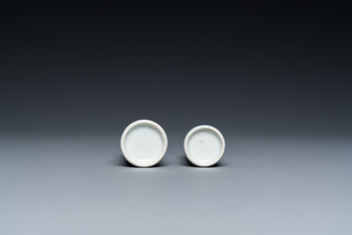 Twee Chinese blauw-witte en koperrode snuifflessen, 19e eeuw