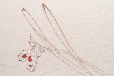 Navolger van Zhang Daqian 張大千 (1898-1983): 'Chinese schone' en 'Orchidee', inkt en kleur op papier