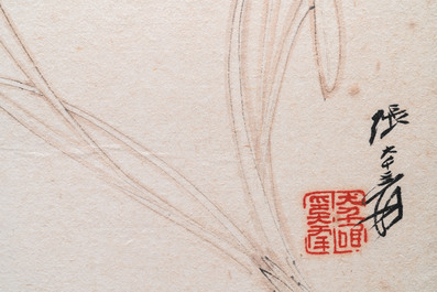 Navolger van Zhang Daqian 張大千 (1898-1983): 'Chinese schone' en 'Orchidee', inkt en kleur op papier