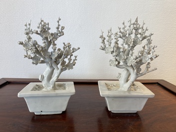 Een paar Chinese Dehua blanc de Chine boompjes met vogels, Kangxi