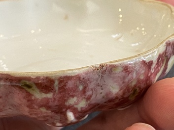 A Chinese peachbloom-glazed pumpkin-shaped box and cover, 19th C.
