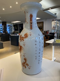 A Chinese iron-red 'Buddhist lions' vase, 19th C.