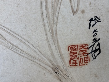 Navolger van Zhang Daqian 張大千 (1898-1983): 'Chinese schone' en 'Orchidee', inkt en kleur op papier