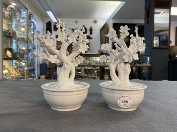 Een paar Chinese blanc de Chine modellen van bomen in jardini&egrave;res, Kangxi