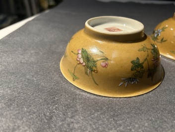 A pair of Chinese caf&eacute;-au-lait-ground famille rose 'grasshopper' bowls, Daoguang mark and of the period