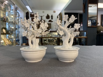 Een paar Chinese blanc de Chine modellen van bomen in jardini&egrave;res, Kangxi