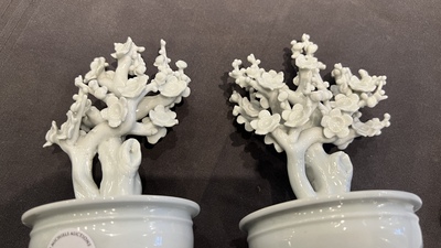 Een paar Chinese blanc de Chine modellen van bomen in jardini&egrave;res, Kangxi