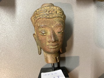 Acht diverse gesculpteerde stenen hoofden, o.a. Gandhara, Etruskisch, Japans en Chinees