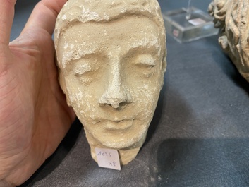 Acht diverse gesculpteerde stenen hoofden, o.a. Gandhara, Etruskisch, Japans en Chinees