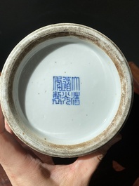 Een Chinese doucai vaas, Daoguang merk en periode