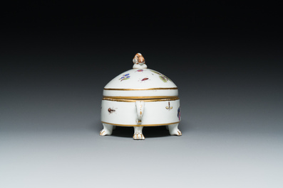 Een ovalen terrine in polychroom Meissen porselein met decor van fruit en insecten, Duitsland, 18e eeuw