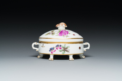 Een ovalen terrine in polychroom Meissen porselein met decor van fruit en insecten, Duitsland, 18e eeuw