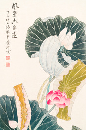 Mi Gengyun 糜耕耘 (1910-1998): 'Lotus', ink and colour on paper, dated 1977