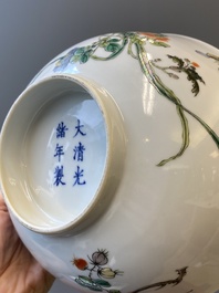 A Chinese famille verte bowl with a bird and various insects, Guangxu mark, 19/20th C.
