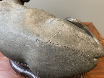 Een grote Chinese grisaille sculptuur van een liggende buffel op houten sokkel, 18/19e eeuw