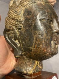 Een Chinees bruin-grijs kalkstenen hoofd van Bodhisattva, wellicht Tang