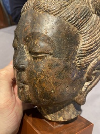 Een Chinees bruin-grijs kalkstenen hoofd van Bodhisattva, wellicht Tang