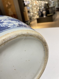 Een paar Chinese blauw-witte vazen met boeddhistische leeuwen, 19e eeuw