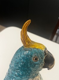 Impressionant perroquet en porcelaine polychrome de Meissen, Allemagne, 19&egrave;me
