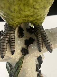 Impressionant perroquet en porcelaine polychrome de Meissen, Allemagne, 19&egrave;me