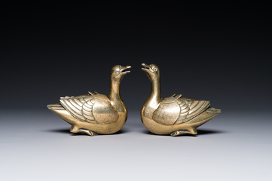 Een paar Chinese met zilver ingelegde bronzen waterdruppelaars in de vorm van eend, Qing