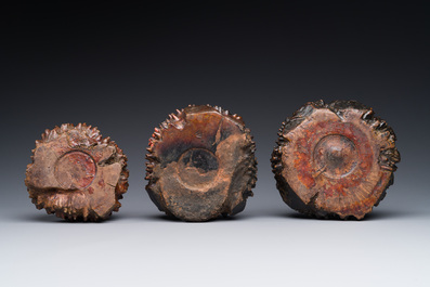 Three Chinese burl wood brush washers, 19th C.