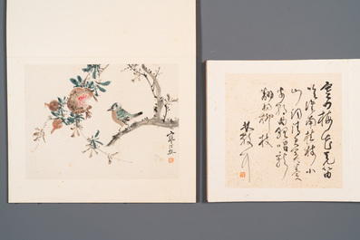 Drie albums: 'Jiang Hanting 江寒汀 (1904-1963), Lin Sanzhi 林散之 (1898-1989) en Qi Gong 启功 (1912-2005)', inkt en kleur op papier