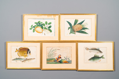 Dix peintures diverses sur papier de riz repr&eacute;sentant la flore et la faune, Canton, Chine, 19/20&egrave;me