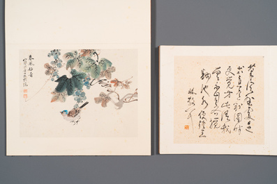 Drie albums: 'Jiang Hanting 江寒汀 (1904-1963), Lin Sanzhi 林散之 (1898-1989) en Qi Gong 启功 (1912-2005)', inkt en kleur op papier
