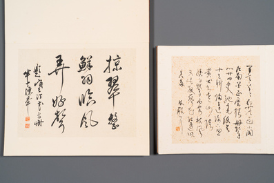 Drie albums: 'Jiang Hanting 江寒汀 (1904-1963), Lin Sanzhi 林散之 (1898-1989) en Qi Gong 启功 (1912-2005)', inkt en kleur op papier