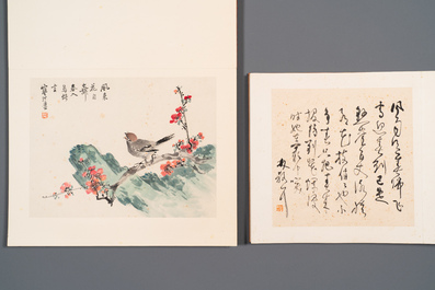 Drie albums: 'Jiang Hanting 江寒汀 (1904-1963), Lin Sanzhi 林散之 (1898-1989) en Qi Gong 启功 (1912-2005)', inkt en kleur op papier