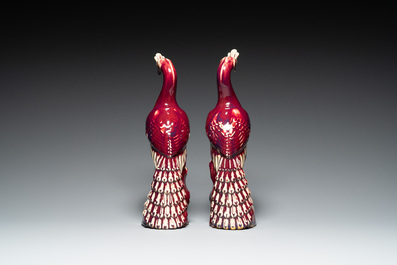 Paire de mod&egrave;les de paons en porcelaine de Chine &agrave; &eacute;mail flamb&eacute; sur socles en bois, 19&egrave;me