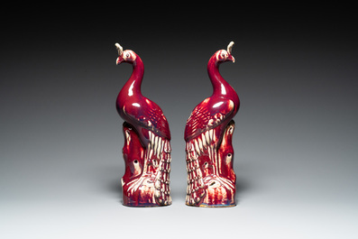 Paire de mod&egrave;les de paons en porcelaine de Chine &agrave; &eacute;mail flamb&eacute; sur socles en bois, 19&egrave;me