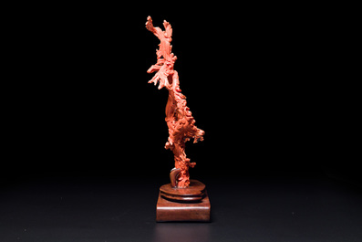 A large Chinese red coral group of female deities among clouds on wooden stand, 19/20th C.