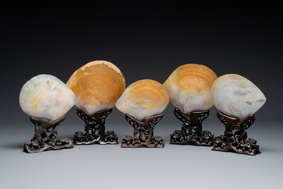 Cinq coquillages en nacre sculpt&eacute;s sur socles en bois, Chine, Canton, 19&egrave;me