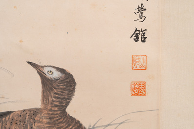 Tian Shiguang 田世光 (1916-1999): 'Oiseaux et fleurs', encre et couleur sur papier