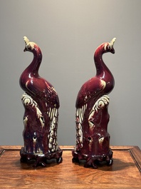 Paire de mod&egrave;les de paons en porcelaine de Chine &agrave; &eacute;mail flamb&eacute; sur socles en bois, 19&egrave;me