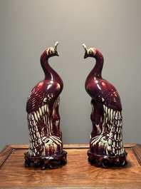 Paire de mod&egrave;les de paons en porcelaine de Chine &agrave; &eacute;mail flamb&eacute; sur socles en bois, 19&egrave;me