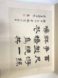 Drie albums: 'Jiang Hanting 江寒汀 (1904-1963), Lin Sanzhi 林散之 (1898-1989) en Qi Gong 启功 (1912-2005)', inkt en kleur op papier