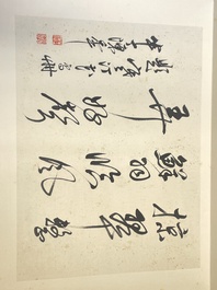 Drie albums: 'Jiang Hanting 江寒汀 (1904-1963), Lin Sanzhi 林散之 (1898-1989) en Qi Gong 启功 (1912-2005)', inkt en kleur op papier