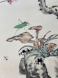 Wang Xuetao 王雪濤 (1903-1982): 'Oiseau et insectes', encre et couleur sur papier