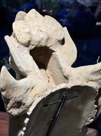 A Chinese pottery dragon head architectural tile, Song/Jin