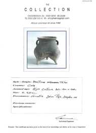A varied collection of archaeological objects, China and Thailand, Qing and earlier