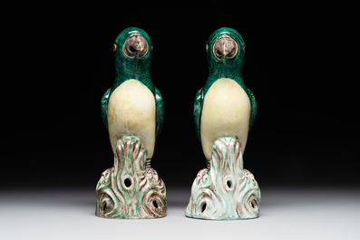 A pair of Chinese verte biscuit parrots, 19th C.
