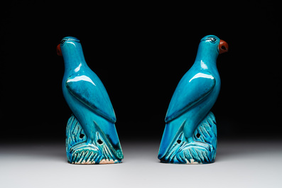 A pair of Chinese turquoise-glazed parrots, 19th C.