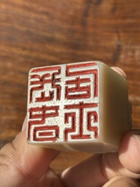 A Chinese shoushan stone 'Changchun Jushi 長春居士' seal with its original case, 18th C.