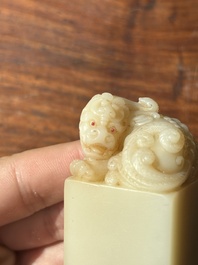 A Chinese shoushan stone 'Changchun Jushi 長春居士' seal with its original case, 18th C.