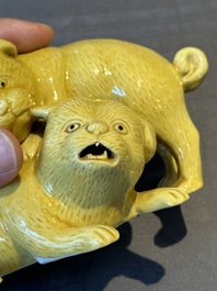 A Chinese monochrome yellow-glazed group of two playing dogs, 19th C.