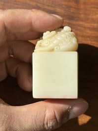 A Chinese shoushan stone 'Changchun Jushi 長春居士' seal with its original case, 18th C.